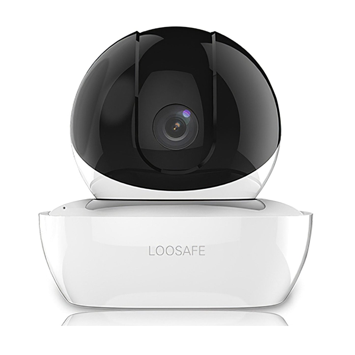 Remote Surveillance Camera
